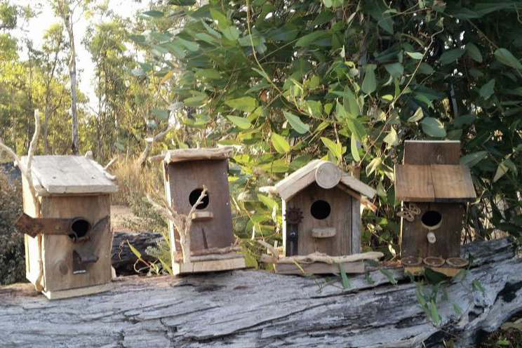 Make a Bird House