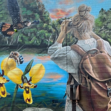 Mural Installations