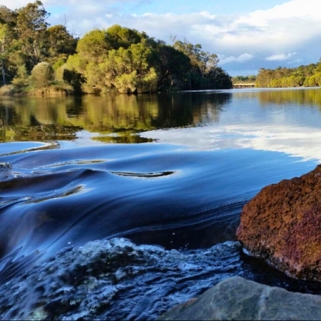 Lions Weir Project