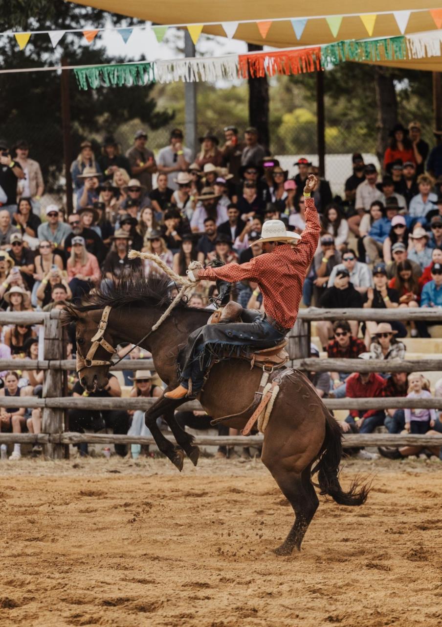 Boddington Lions Rodeo