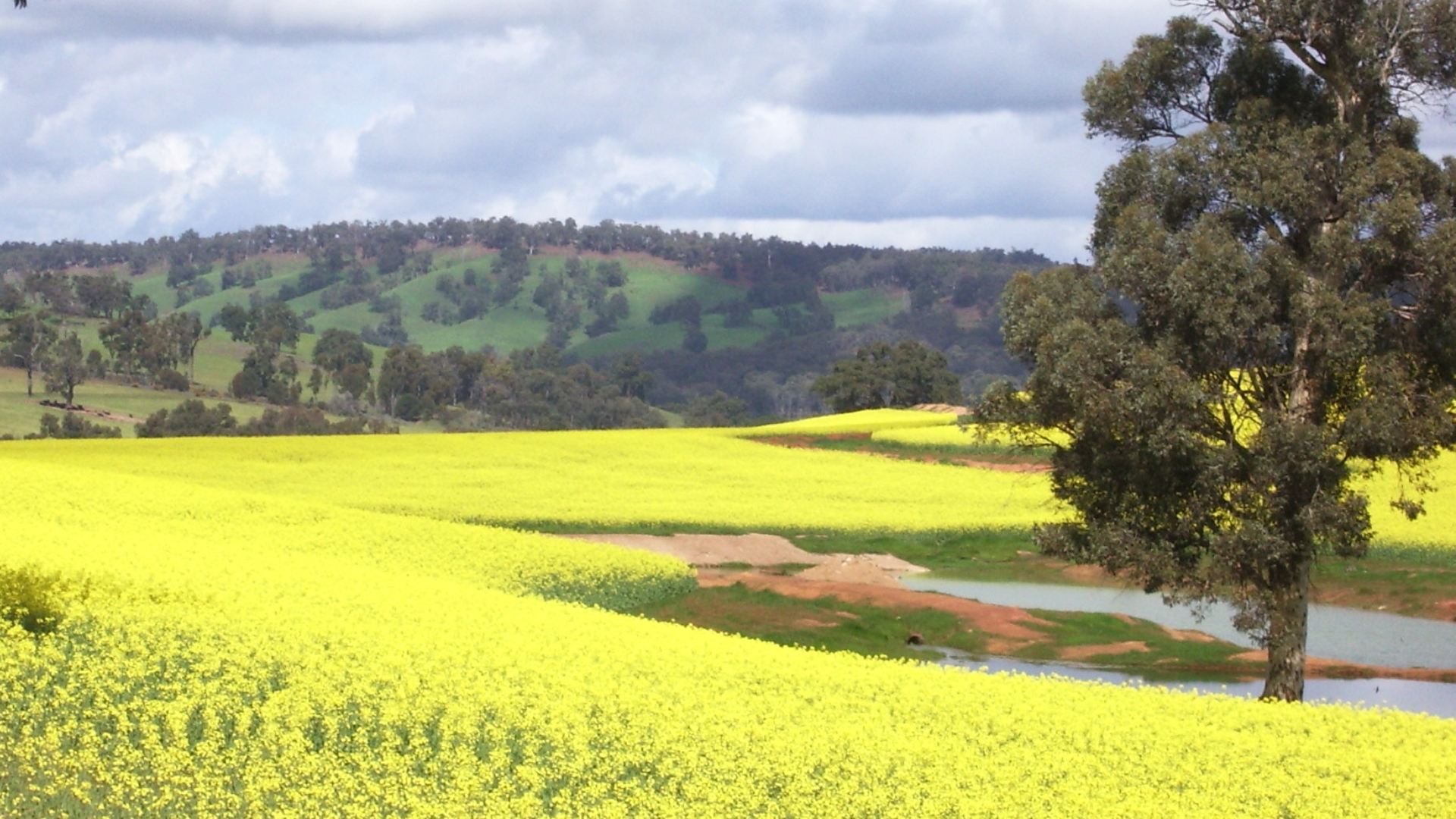 New Policy Provides Clarity for Landowners
