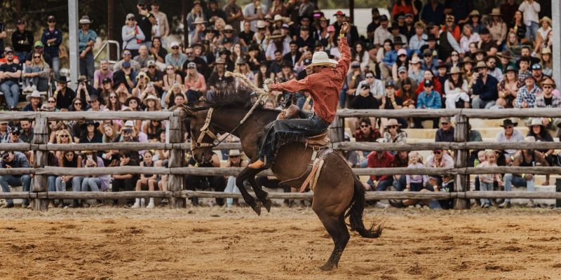 Boddington Lions Rodeo 50th Anniversary