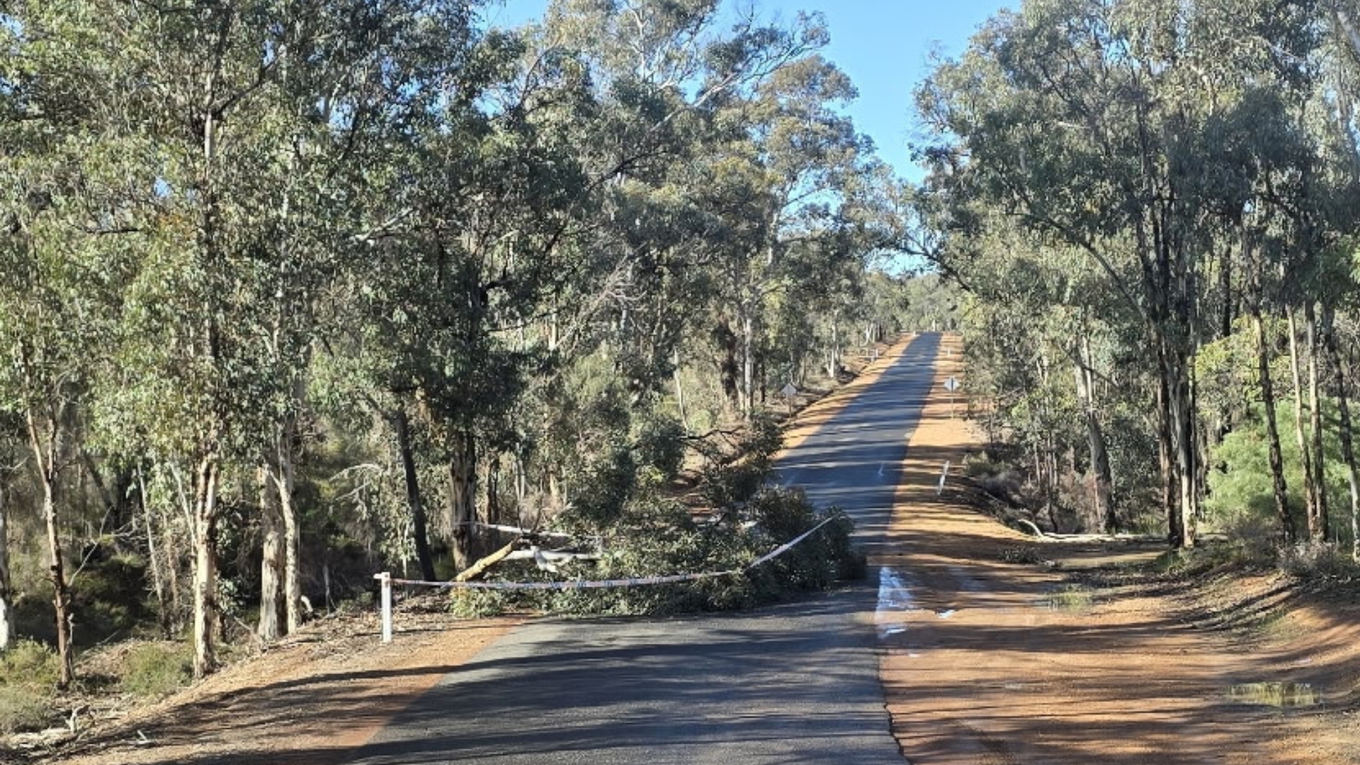 Storm Damage Response
