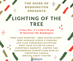 LIGHTING OF THE TREE 2019