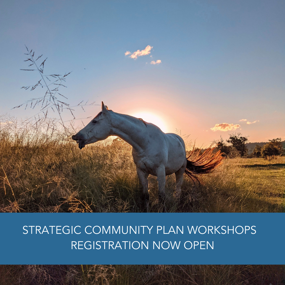 Strategic Community Plan workshops – registration now open