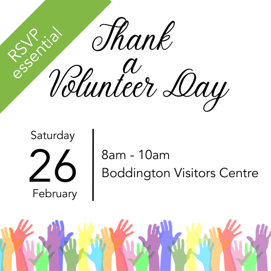 Thank a Volunteer Day