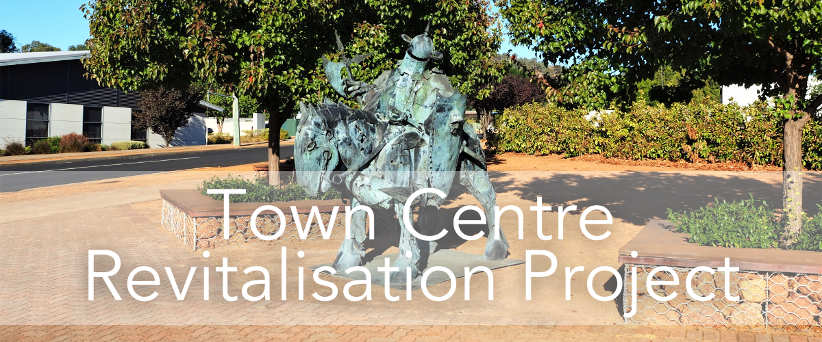 Expressions of Interest Open –  Town Centre Revitalisation Reference Group
